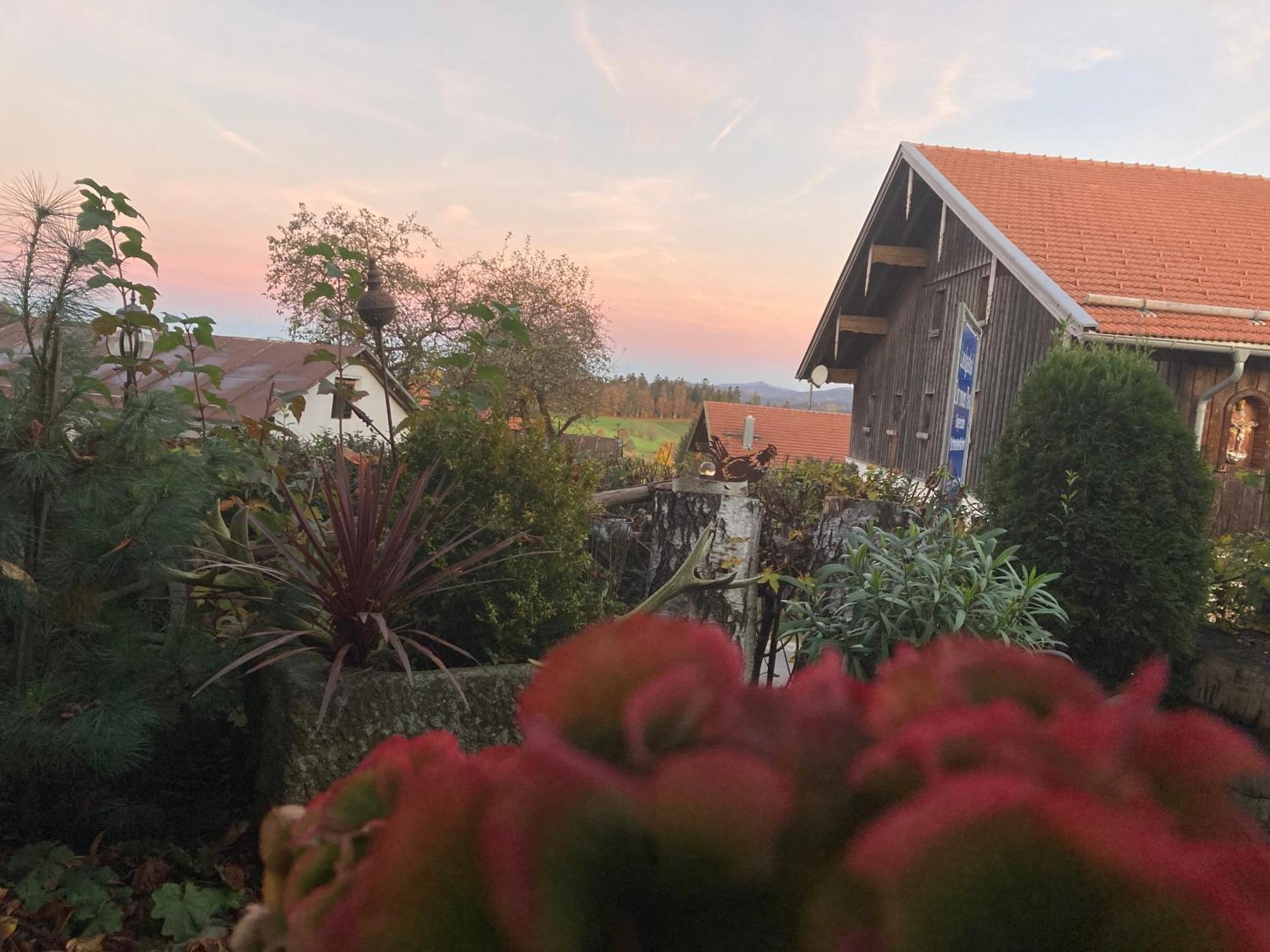 Zur Neuen Post Landgasthof Herzogsreut Buitenkant foto