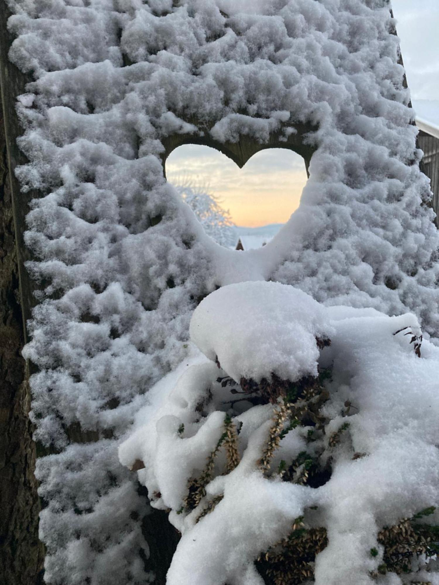 Zur Neuen Post Landgasthof Herzogsreut Buitenkant foto