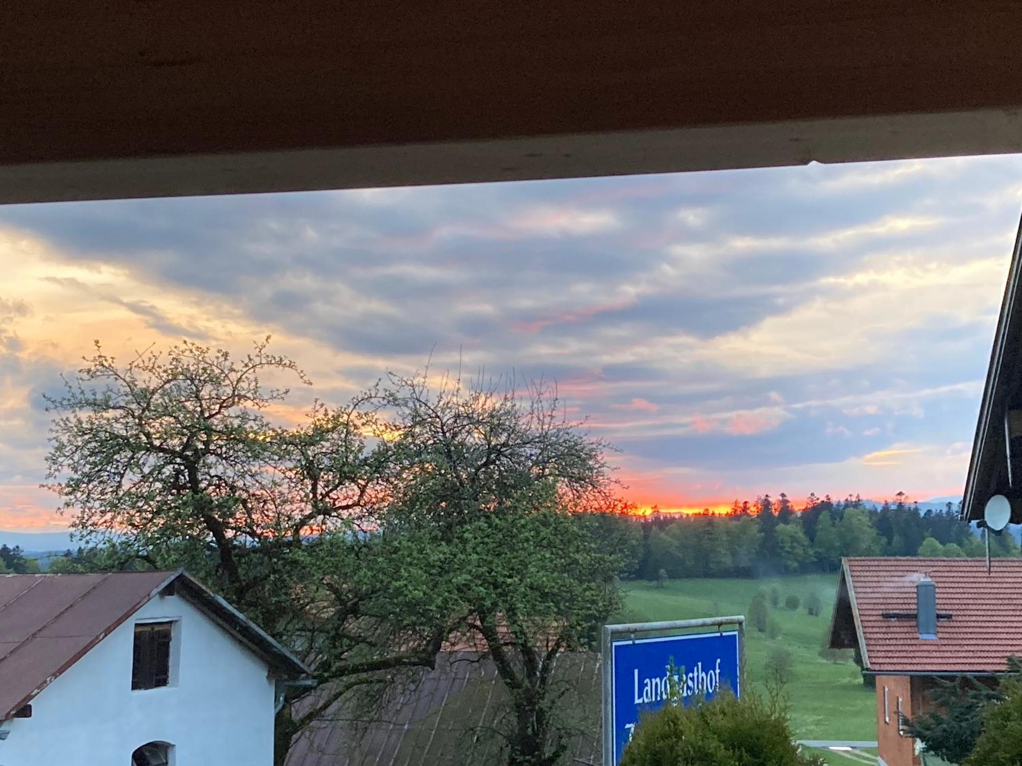 Zur Neuen Post Landgasthof Herzogsreut Buitenkant foto