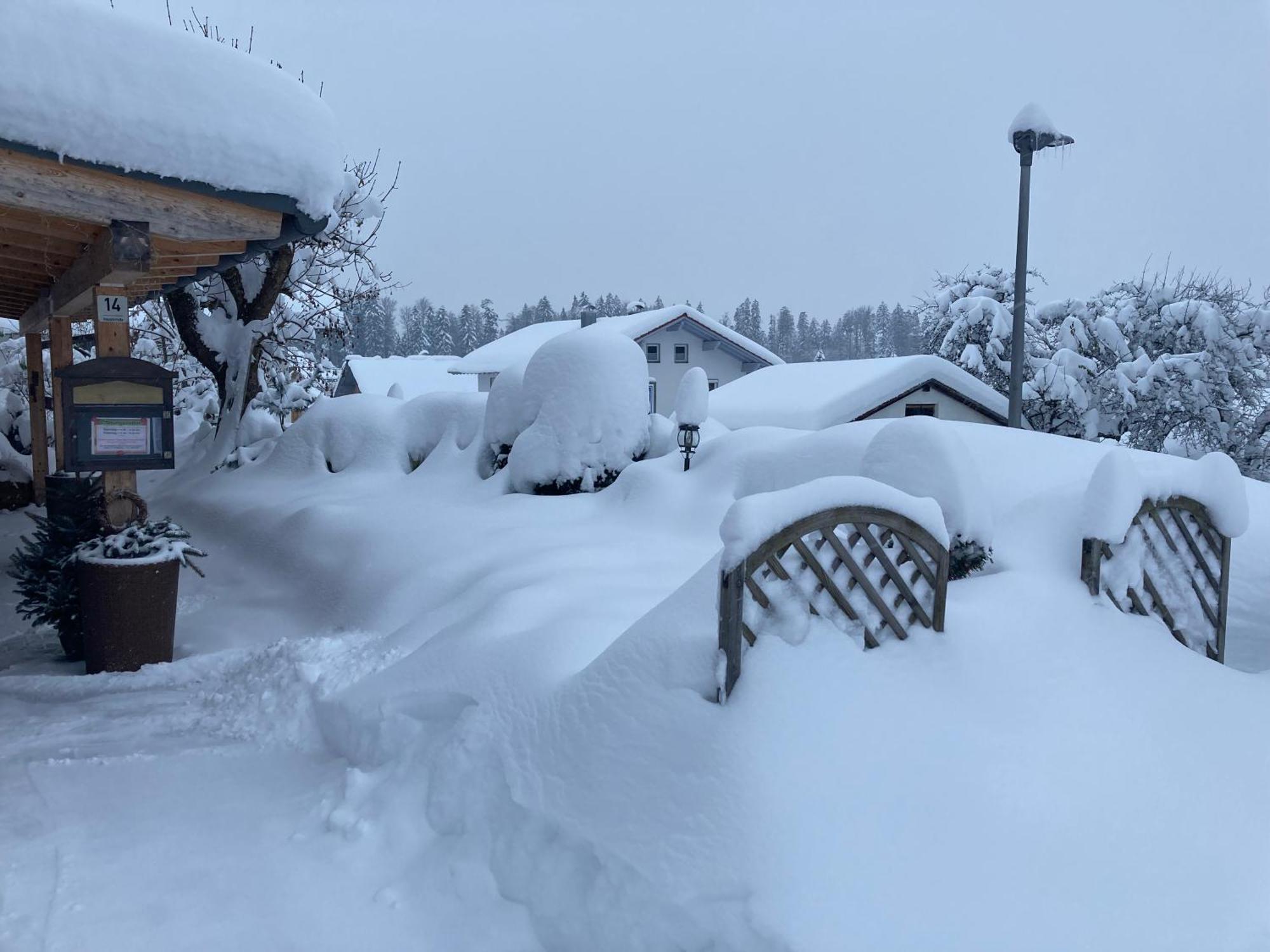 Zur Neuen Post Landgasthof Herzogsreut Buitenkant foto