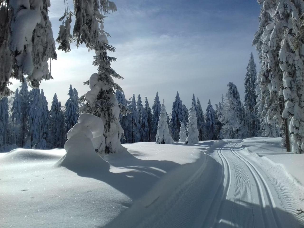Zur Neuen Post Landgasthof Herzogsreut Buitenkant foto